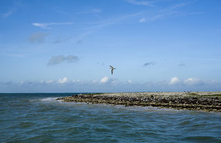Christmas Island