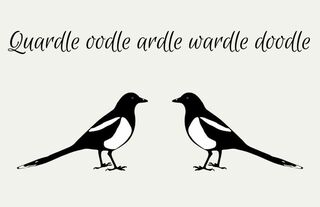 The Magpies