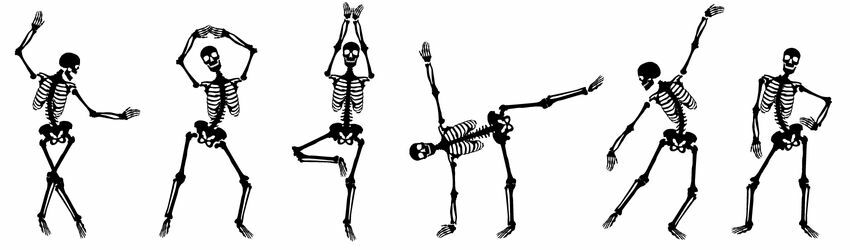 Skeletons